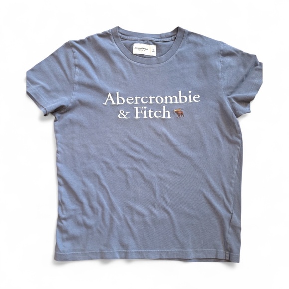 Abercrombie & Fitch Other - Abercrombie & Fitch Men's Soft Tee Size S – Gray